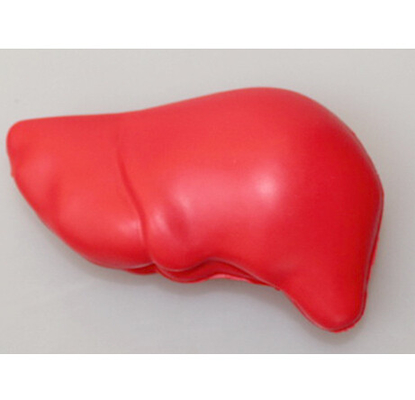 PU Foam Liver Shape Promotional Stress Relievers For Hospital Donation Patient Gifts
